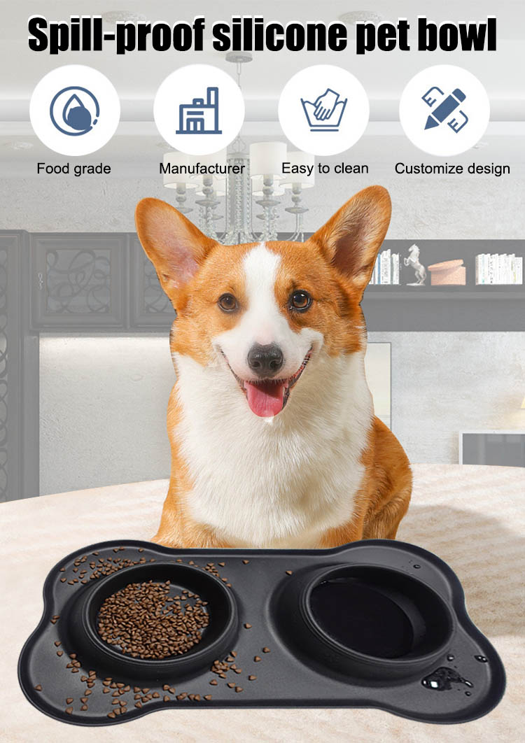 pet food bowl